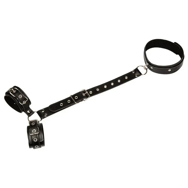 Monica Harness VIP